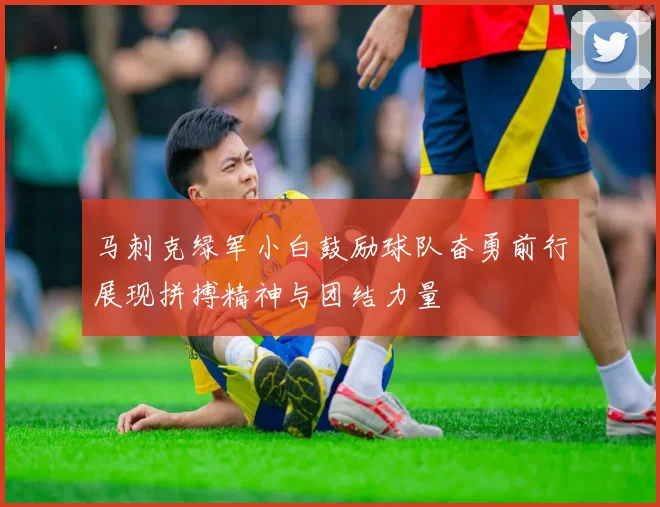 马刺克绿军小白鼓励球队奋勇前行展现拼搏精神与团结力量