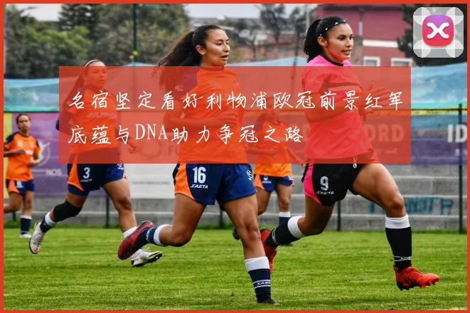 名宿坚定看好利物浦欧冠前景红军底蕴与DNA助力争冠之路