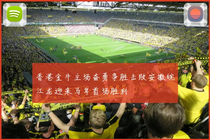 香港金牛主场奋勇争胜击败安徽皖江龙迎来马年首场胜利