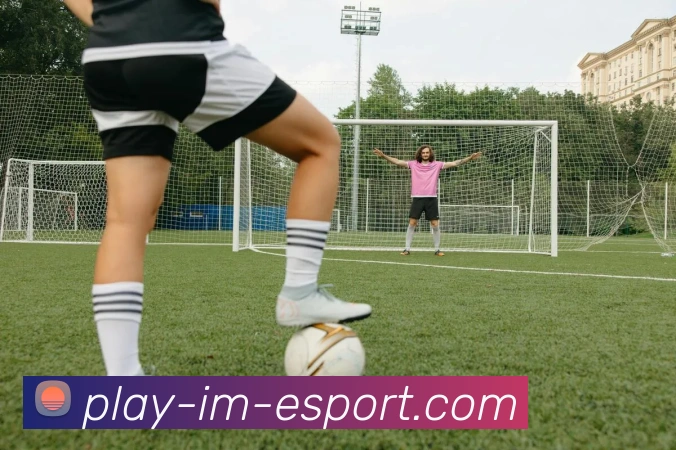 IM电竞服务体系