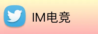 IM电竞 Logo
